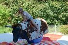JAT_F�rderverein Bullriding